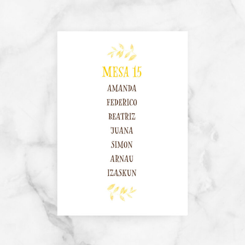project party seating plan boda amarilly.jpg